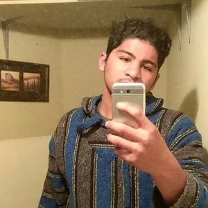 Meet your Posher, Albert